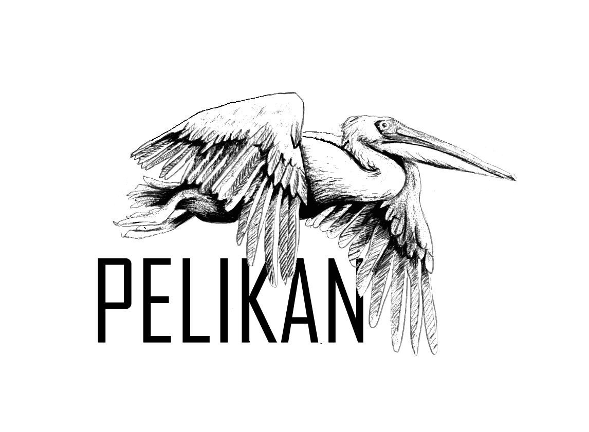 Peli